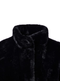 LYSJB55A0343